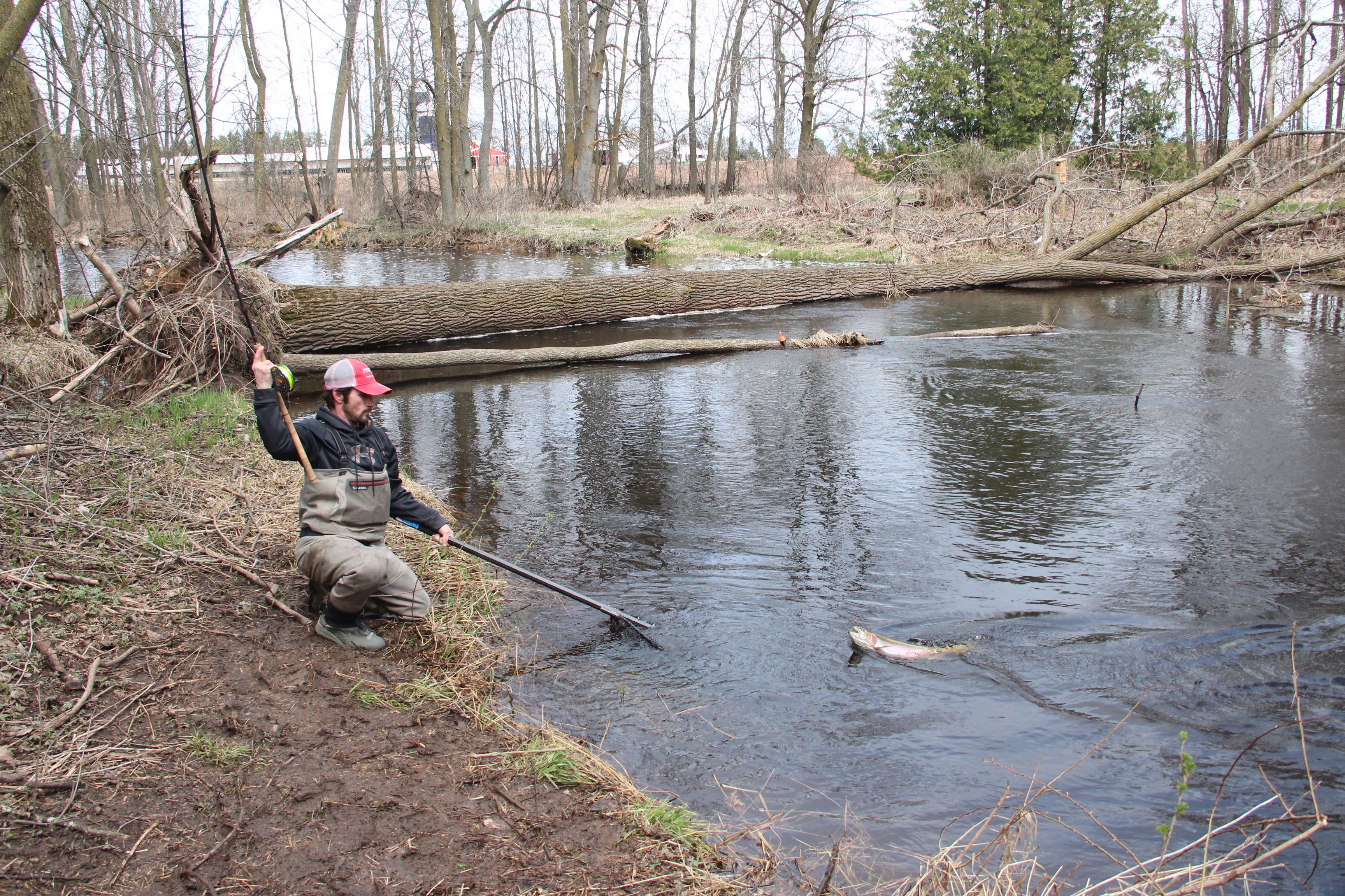 trout centerpin rod